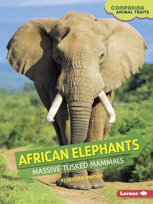 African Elephants - ebook